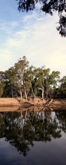 Waterline on The Murray River