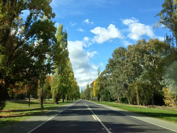 The road between Myrtleford and Bright